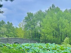 -长广溪湿地公园