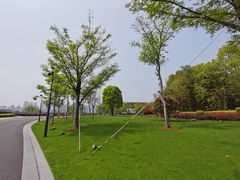 -上海山野camping·户外天幕烧烤·团建拓展营地
