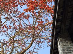 -伦教678文化街