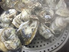 -蚝专家(北滘店)