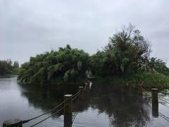 景点-西昌邛海湿地