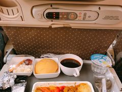 -新加坡航空公司(ION)