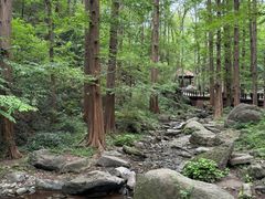 -国家植物园南园