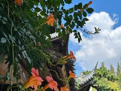 -龙华寺