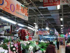 -大自然花鸟鱼虫市场