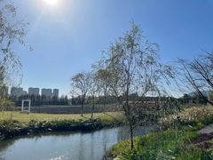 -长田漾湿地公园