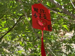 -小五台金河景区