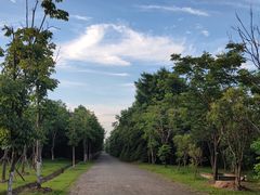 -上海海湾国家森林公园