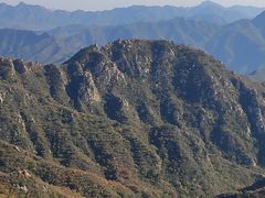 -大岭沟猕猴桃谷风景区