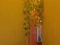 -蒙古人烤羊大师·绿野餐厅(工农大路店)