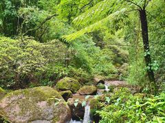 -赤水丹霞旅游区·佛光岩