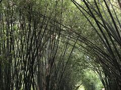 -英西峰林·洞天仙境