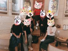 -逃脱反斗城沉浸剧情密室(北京路店)