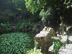 -伯先公园