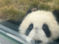 -吴山烤禽 (吴山路店)