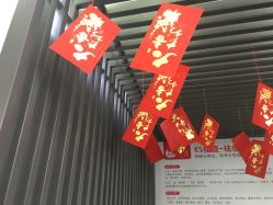 -KS科逆美肤祛痘