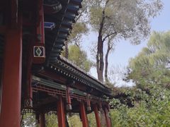 -晋祠公园