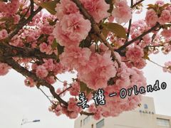 -长安大学(北校区)