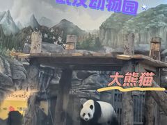 -武汉动物园