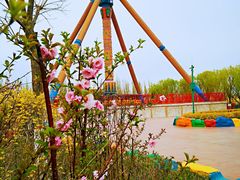 -嘉峪关方特欢乐世界