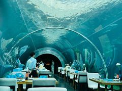 -海棠湾洲际-涛·海底餐厅·美人鱼·自助餐·海底隧道
