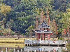-国恩寺