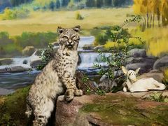 -陕西自然博物馆