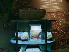 -厦门诚毅自然探索馆
