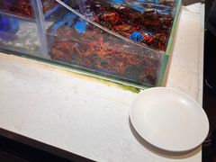 -加餐海鲜自助(宝龙一城店)