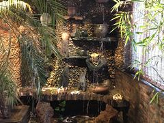 -大匠工房古船木艺术餐厅·猪肚鸡专门店(长白仙岛店)