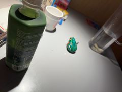 -蛙来哒(汇一城黑金冠店)