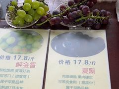 -马陆小张葡萄园农家乐