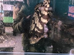 -众彩物流水产市场