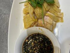 -老绍兴养和饭店(向阳不夜城店)