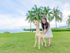 -三亚亚龙湾天域度假酒店