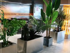 -国王冰室·奥林匹斯店(联想科技城店)