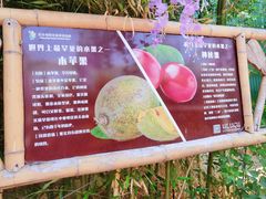 -呀路古热带植物园