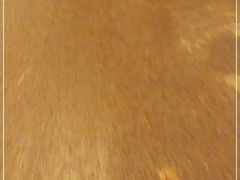 -湊湊火锅·茶憩(石家庄万象城店)