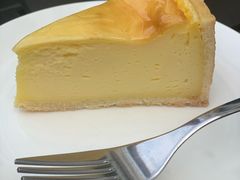 -Madeleine玛德琳(永平里店)