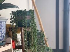 -大莲湖农家乐(青西郊野公园店)