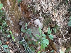 -杭州半山国家森林公园