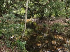 -海南热带雨林国家公园吊罗山景区