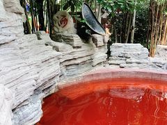 -剑河仰阿莎温泉小镇