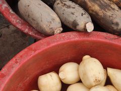 -毛氏汽水包(山海关路店)