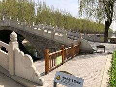 -白洋淀景区