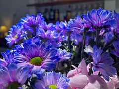 -循礼门鲜花花市(武汉循礼门店)