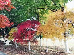 -白塘生态植物园