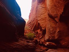 -天山神秘大峡谷