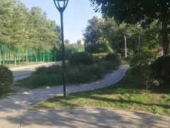 -丁香湖公园