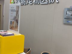 -瑞鹏宠物医院·骨外科·心肾科·肿瘤科(九亭店)